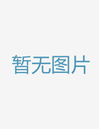 去荷兰 2025 高清未删减版